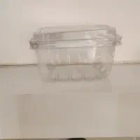 ظرف گوجه زیتونی|ظروف نگهدارنده، پلاستیکی، یکبارمصرف|شهرضا, |دیوار