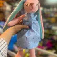 خرگوش لباس آبی