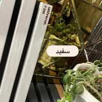 ترموپنل پشت فومدار پانیذ|مصالح و تجهیزات ساختمان|شاهرود, |دیوار