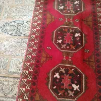 قالی|فرش|باخزر, |دیوار