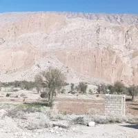 مشارکت-جهت-احداث-باغ