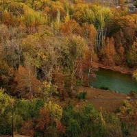 باغ گیلاس و بادام در شهر هوره