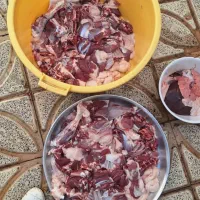 آقای قصاب  (تمیز و مرتب)|خدمات پیشه و مهارت|قم, دروازه چوبی|دیوار