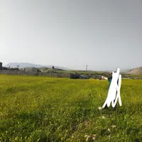 زمین هلاگون