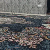 ۲عدد قالی ۱۲متری ۷۰۰شانه نو