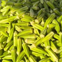 بامیه تازه