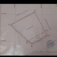 زمینمزروعی تسطیح اراضی شده شفت|فروش زمین و ملک کلنگی|شفت, |دیوار