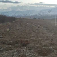زمین-کشاورزی-و-باغ-همراه-آب-برق-چاه
