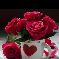 راهنمایی بکنین