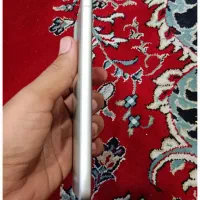 S21 fe 5G|موبایل|شیراز, گل سرخ|دیوار