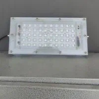 چراغ پروژکتور مخصوص رشد گل و گیاه|گل و گیاه طبیعی|دوگنبدان, |دیوار