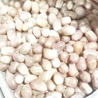 خرمای زاهدی درجه ۱ پشت کوه