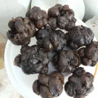 سیر 8ساله