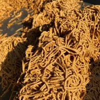 خمیر خرما سیس خاصه خرما|عمده‌فروشی|خشت, |دیوار