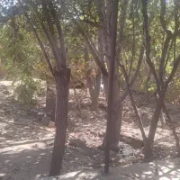 خانه ویلایی