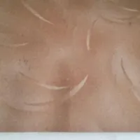 پالاز موکت  12متری نقش دار|موکت|اراک, |دیوار