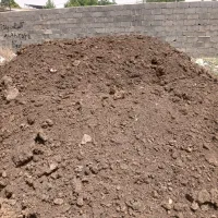 کود گاوی پوسیده درجه 1