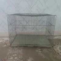 دوتا قفس پرنده|لوازم جانبی حیوانات|قم, پردیسان|دیوار