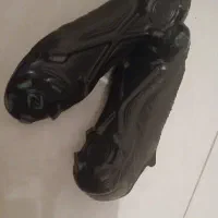 استوک|کیف، کفش، کمربند|همدان, |دیوار