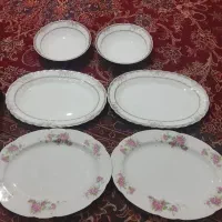 دیس غذا خوری