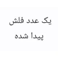 فلش گمشده