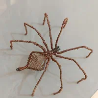 مجسمه سیمی عنکبوت|مجسمه، تندیس، ماکت|محمدشهر, ولدآباد|دیوار