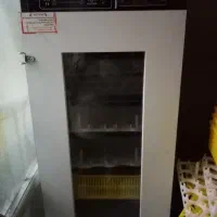 جوجه کشی هدایت 210 عددی