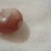 عقیق|کلکسیون اشیاء عتیقه|تایباد, |دیوار