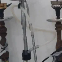 قیلون