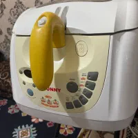 سرخ کن سانی