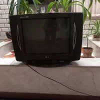تلویزیون