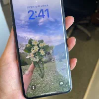 گوشی آیفون xs max 256 پلمپ