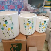 گلدان تکی و عمده|گل و گیاه طبیعی|آستانه اشرفیه, |دیوار