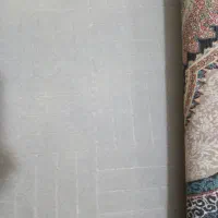 ۲۴متر موکت طوسی