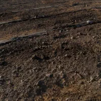 پمپ برقی زمین کشاورزی اجازه ای|فروش دفتر صنعتی، کشاورزی، تجاری|چاه داد خدا, |دیوار