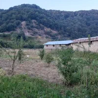 فروش زمین زراعی