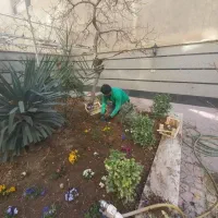 باغبانی،حرص،کوددهی،گلکاری وگل فروشی|خدمات باغبانی و درختکاری|کاشان, مفتح|دیوار