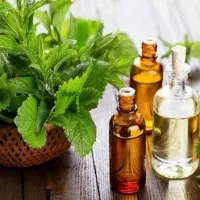 عرقیجات گیاهی