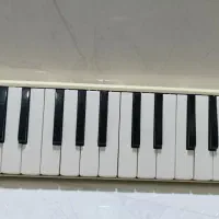 ملودیکا سوزوکی ژاپن|پیانو، کیبورد، آکاردئون|شیراز, گود عربان|دیوار