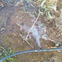 فروش چند قطعه باغ بار بده پل زمانخان|فروش زمین و ملک کلنگی|خمینی‌شهر, |دیوار