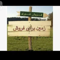 زمین ۹۰۰متری باغ شهری