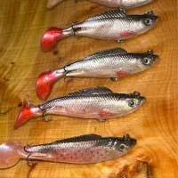 طعمه مصنوعی ژلهای|ماهیگیری|اردبیل, |دیوار