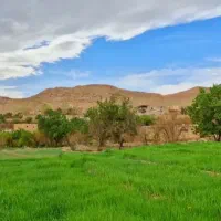 زمین-فروشی-استرک