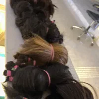 فروش موی طبیعی شما بدون واسطه *میلیونی*