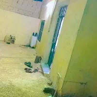 اجاره باغ ویلا استخر دار|اجارهٔ کوتاه‌مدت ویلا و باغ|تربت جام, میان جام|دیوار