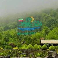 عکاس حرفه‌ای و نیمه حرفه‌ای