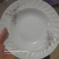 ظرف چینی وانگشتی|ظروف سرو و پذیرایی|سنندج, |دیوار