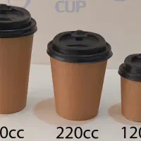 لیوان کرافت