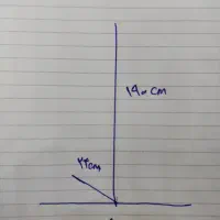 کتاب خانه درختی (تم طوسی و سفید)|کتابخانه، شلف، قفسه‌های دیواری|یزد, |دیوار