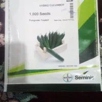 ۱۲۳|گل و گیاه طبیعی|بلوک, |دیوار